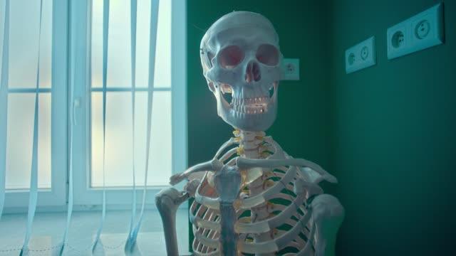 Showreel 2025