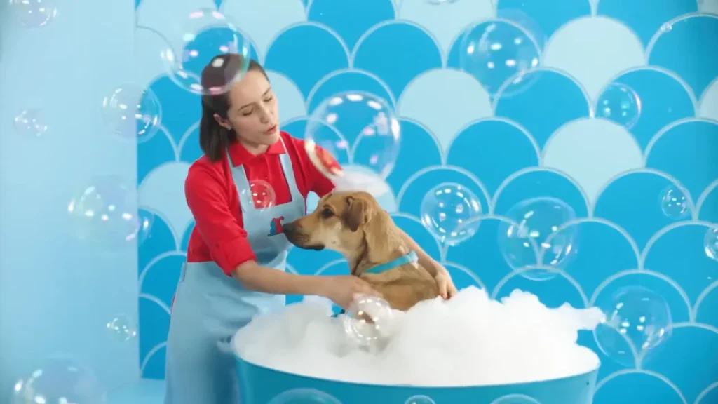 Petco
