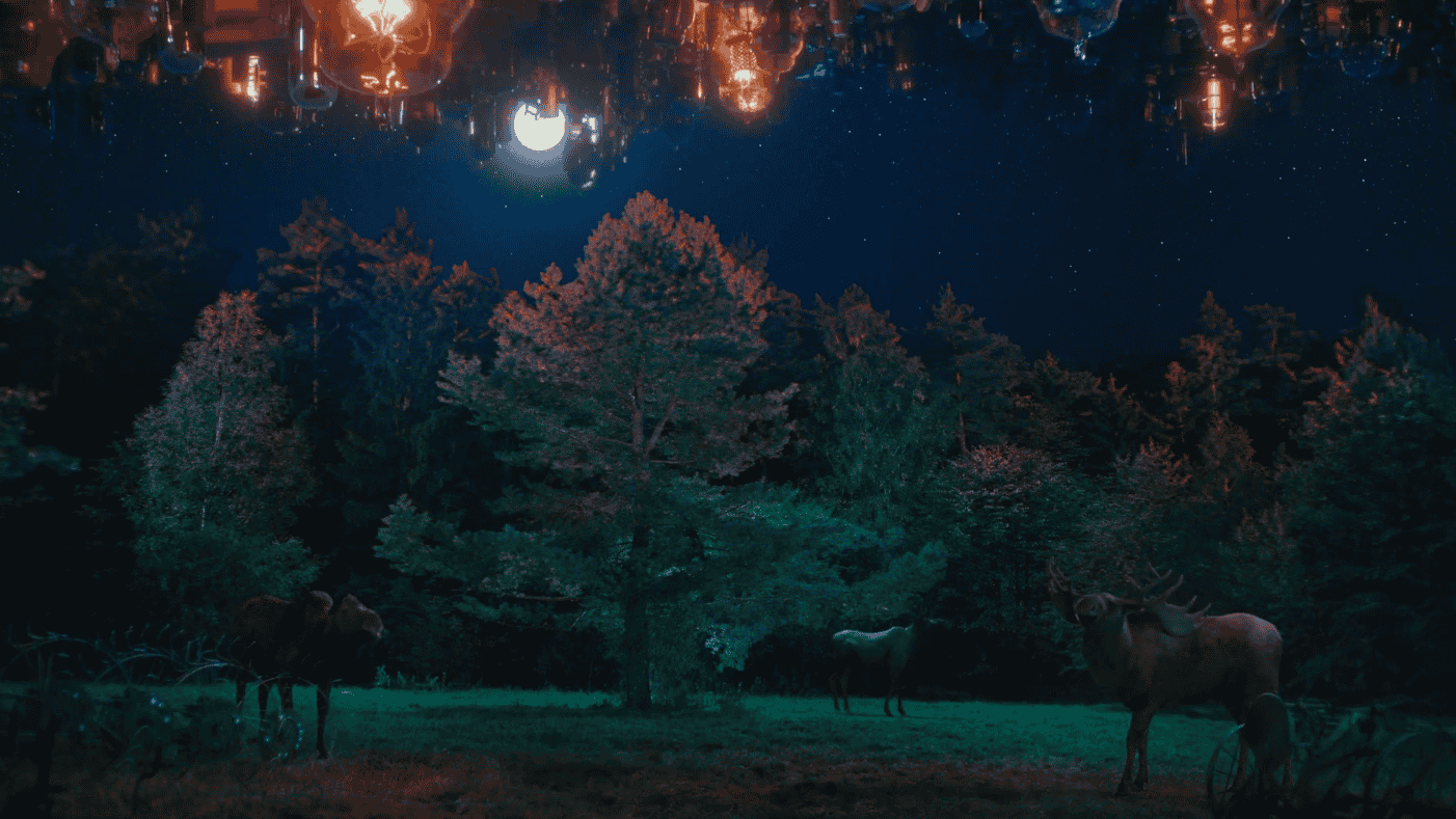 Żubr Ufo